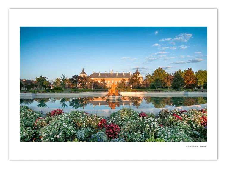 RegalaMadrid by Antonello Dellanotte