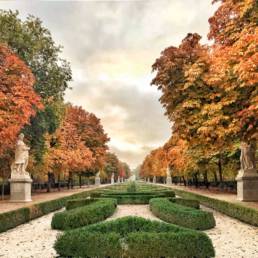 El otoño mas bello - Catálogo de obras de Antonello Dellanotte | RegalaMadrid