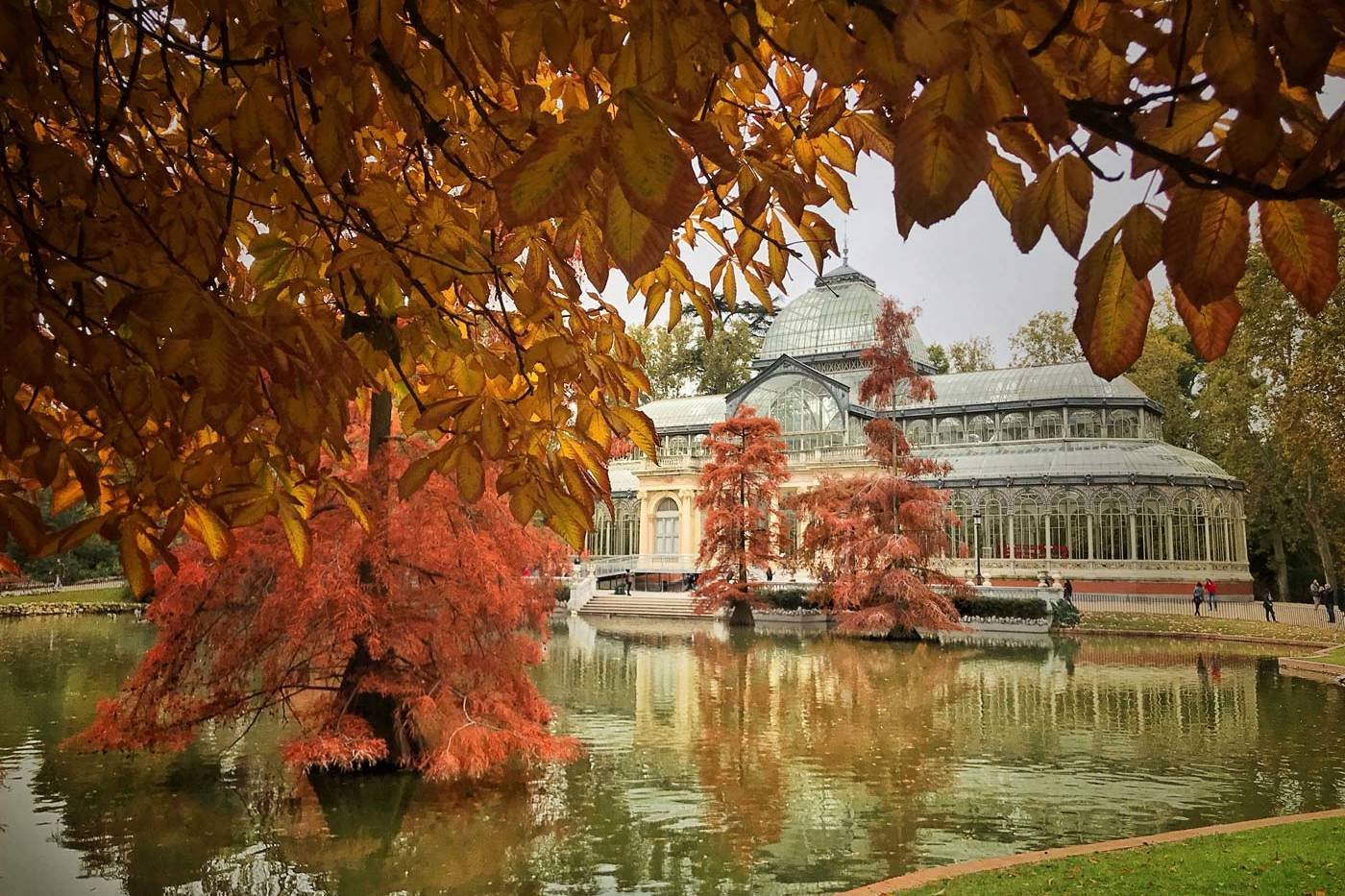 Cursos de fotografía en El Retiro