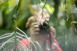 Cursos de fotografía en el Real Jardín Botánico