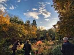 Cursos de fotografia en El Real Jardín Botánico