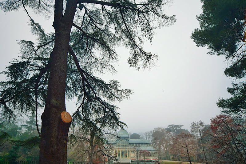 El Palacio de Cristal