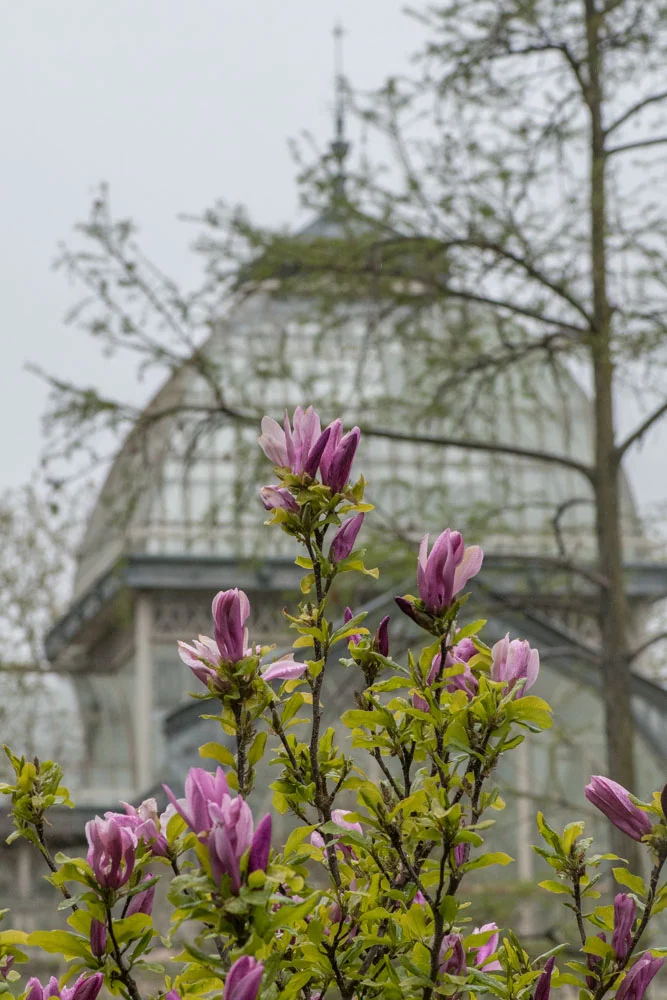 El Palacio de Cristal