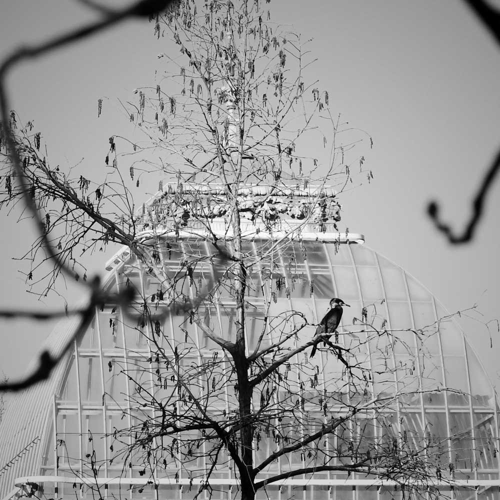 Palacio de Cristal