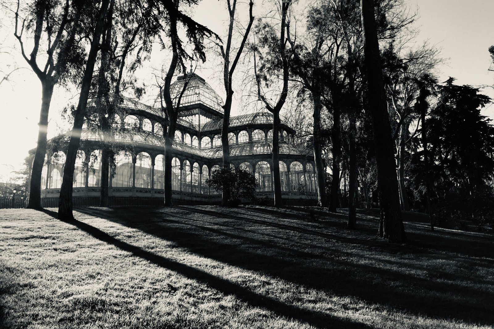 El Palacio de Cristal