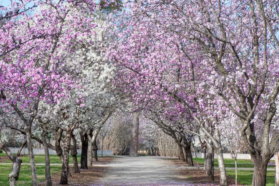 Cursos de fotografia en El Retiro