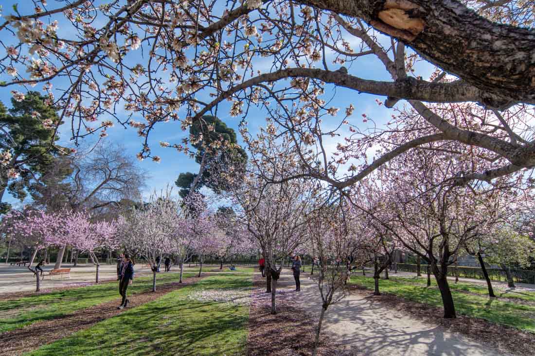 Marzo en El Retiro